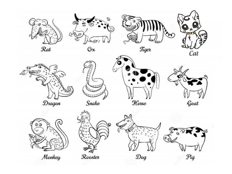 Bo lo de 12 con giap anh dai dien