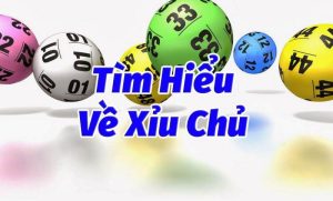 Xiu chu la gi anh dai dien