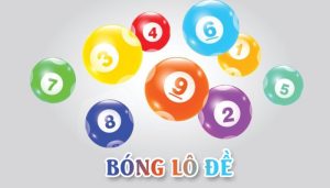 bong lo de anh dai dien