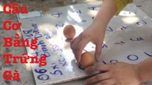 cach xin so de bang trung ga anh dai dien