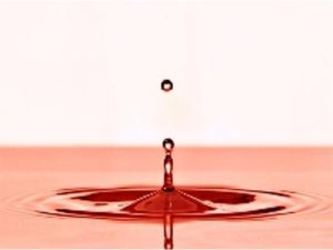 mo thay mau anh dai dien