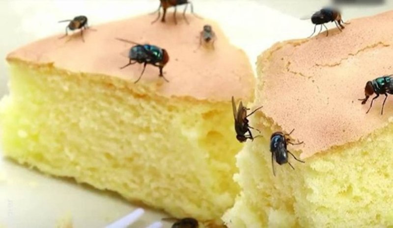 Mộng thấy ruồi bâu vào thức ăn