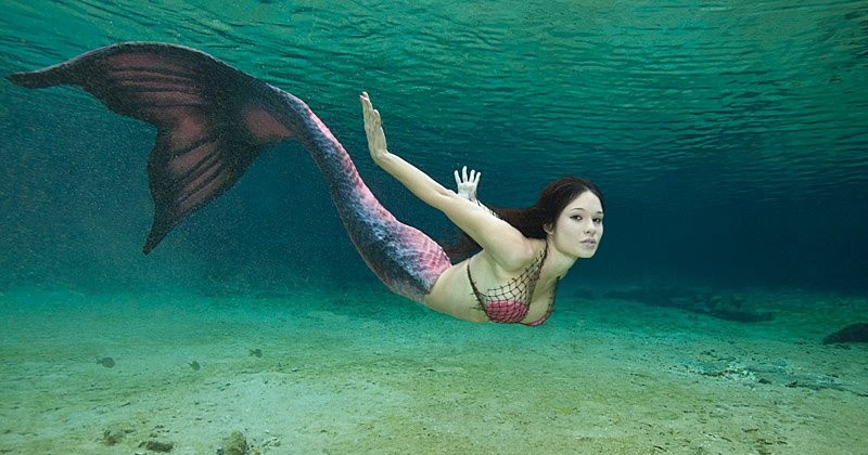 Mơ thấy nàng tiên cá đánh các số nào làm giàu nhanh chóng? 7 Ngủ mơ thấy nàng tiên cá đang nhìn mình đắm đuối