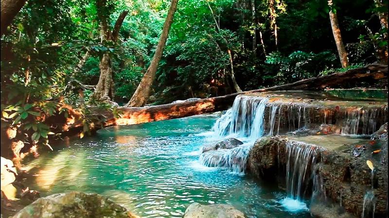 Mơ nước sông chảy xiết cho thấy bạn đang gặp khó khăn Mơ nước sông chảy xiết cho thấy bạn đang gặp khó khăn